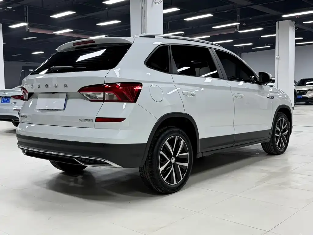 Skoda Kamiq 2022 из CN, фото 8