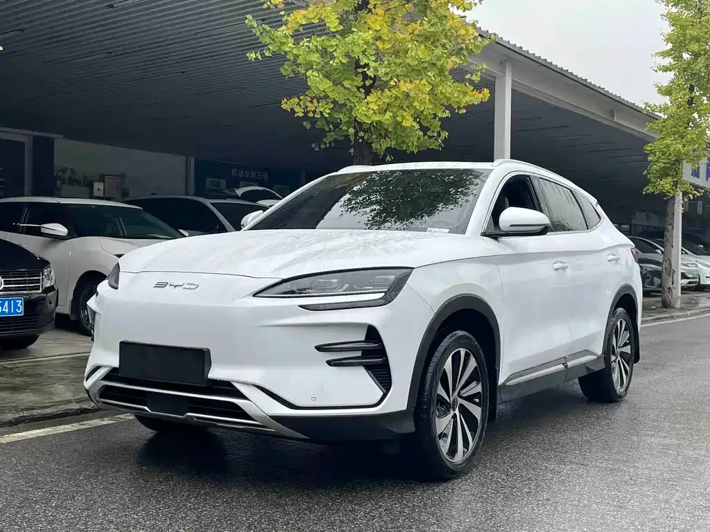 BYD PLUS New Energy 2024 из CN, фото 1