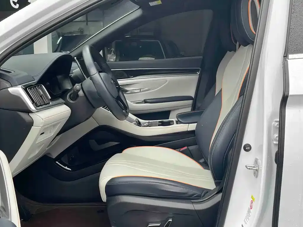 BYD PLUS New Energy 2024 из CN, фото 5