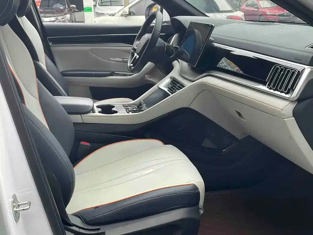 BYD PLUS New Energy 2024 из CN, фото 4