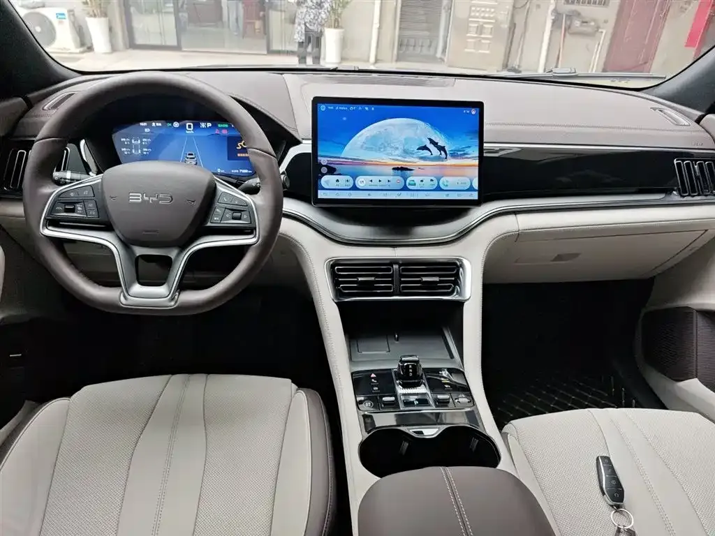 BYD PLUS New Energy 2025 из CN, фото 6
