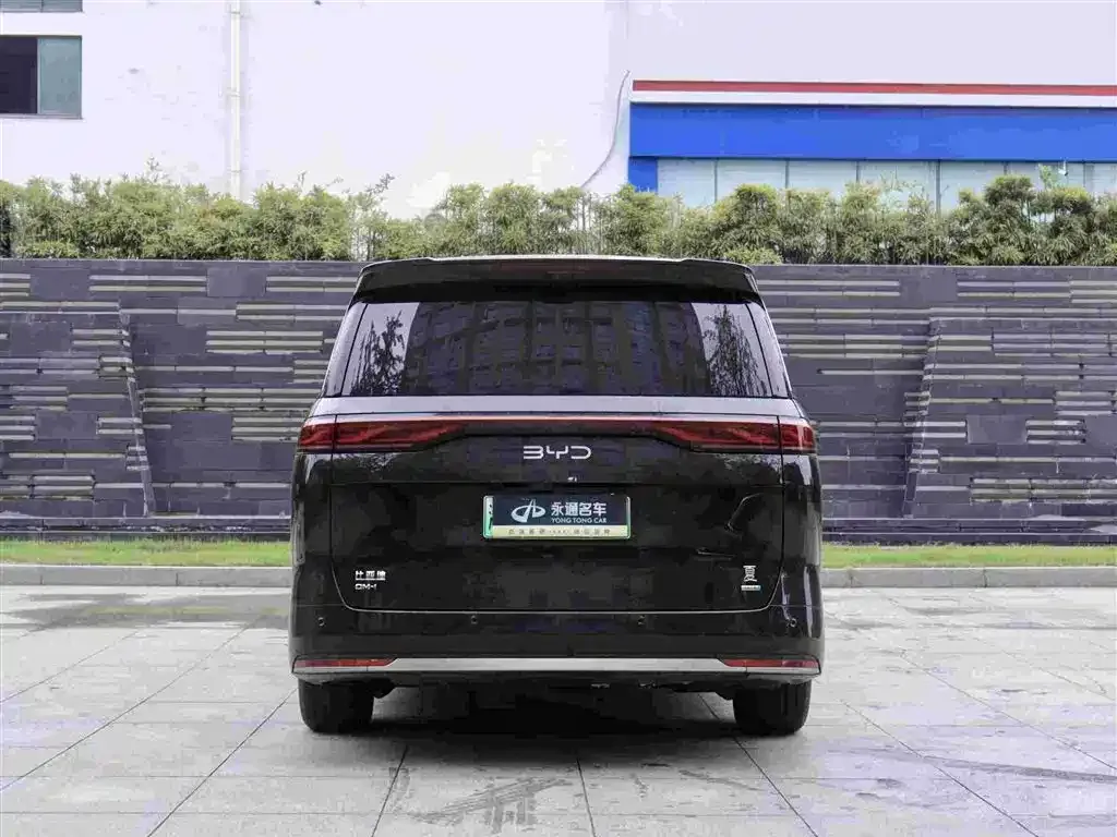 BYD Xia 2025 из CN, фото 3