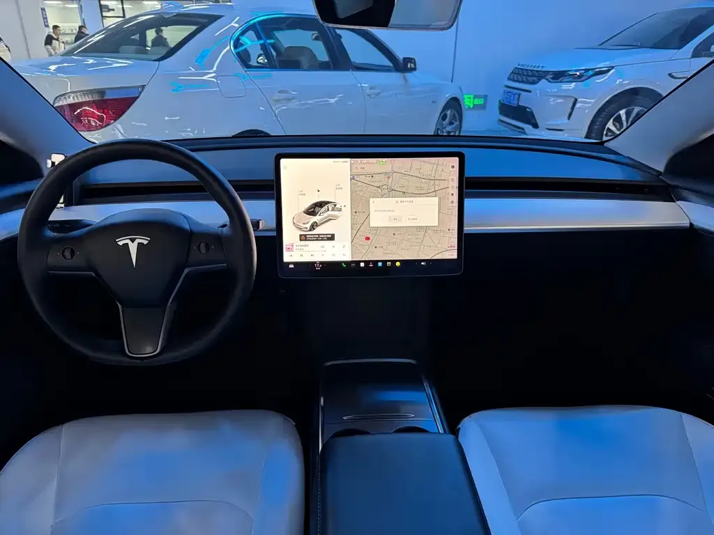Tesla Model 3 2021 из CN, фото 7