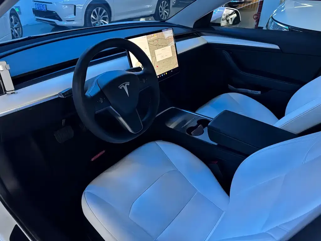 Tesla Model 3 2021 из CN, фото 10