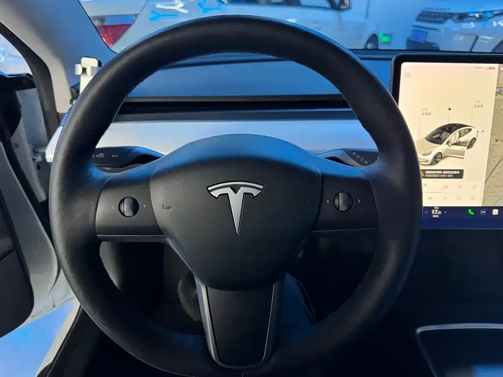 Tesla Model 3 2021 из CN, фото 4