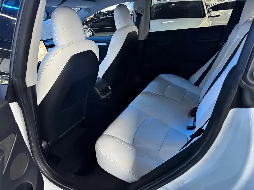 Tesla Model 3 2021 из CN, фото 6