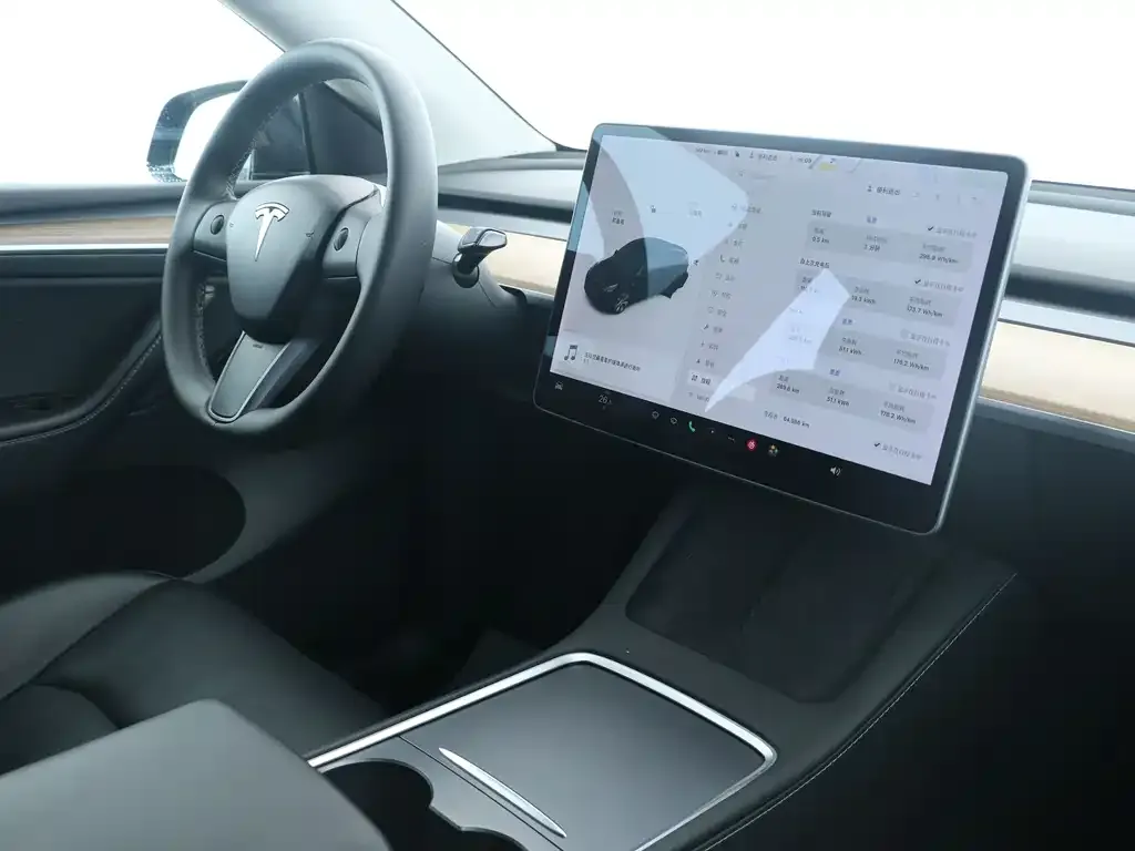 Tesla Model Y — фото 2
