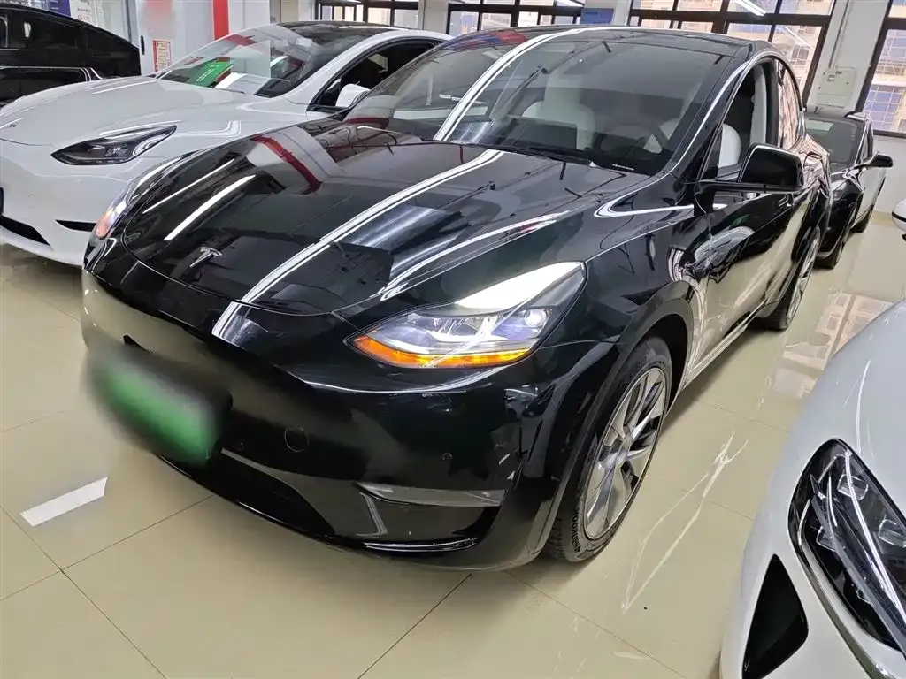 Tesla Model Y 2021 из CN, фото 1