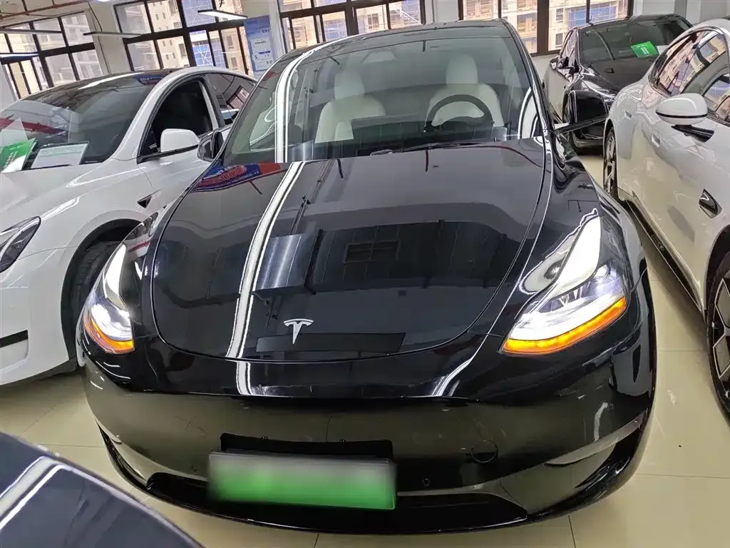 Tesla Model Y 2021 из CN, фото 5