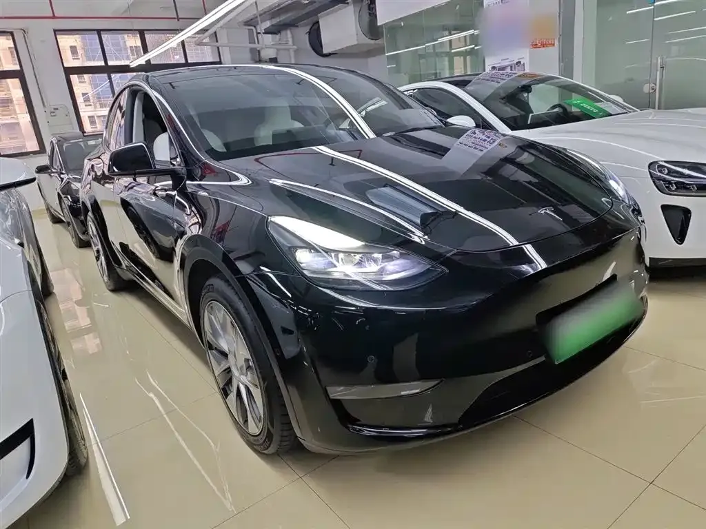 Tesla Model Y 2021 из CN, фото 4