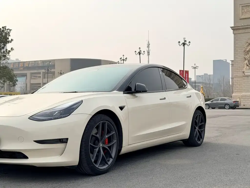 Tesla Model 3 2021 из CN, фото 4