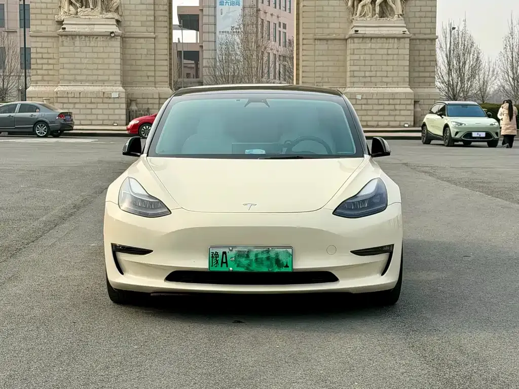Tesla Model 3 2021 из CN, фото 8