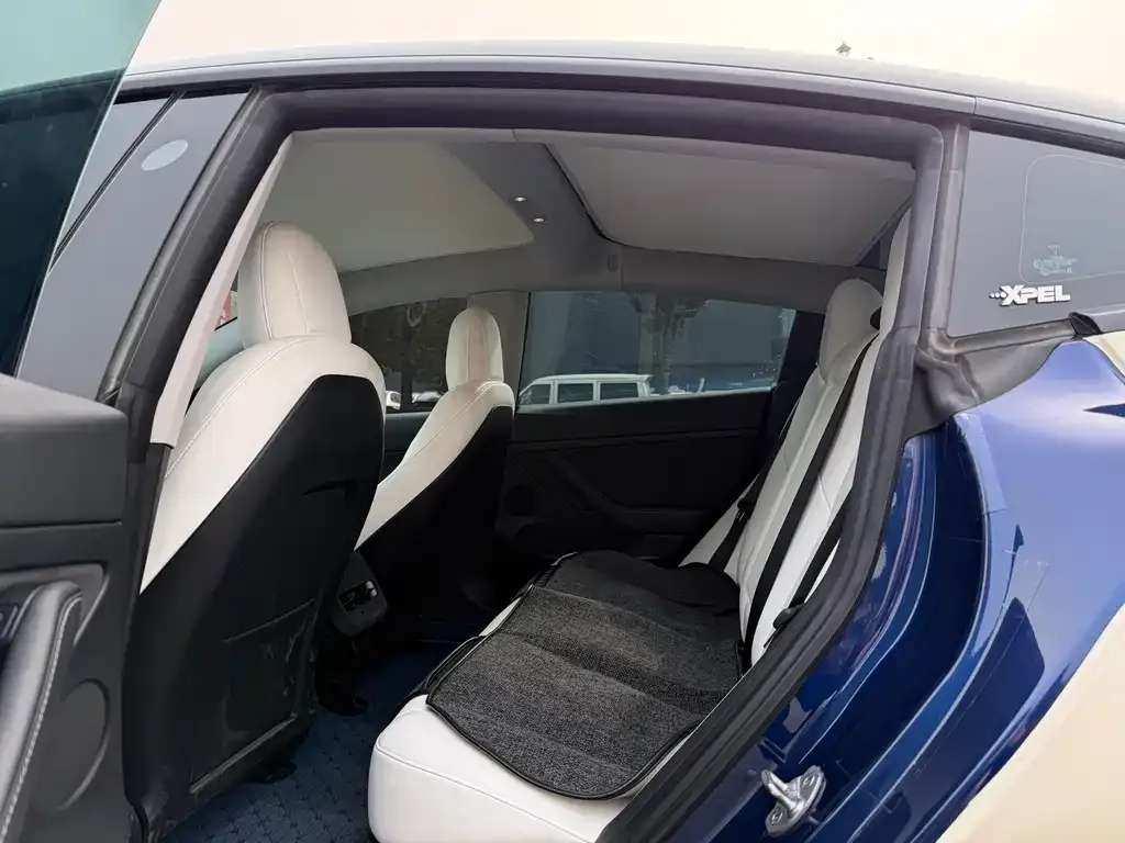 Tesla Model 3 2021 из CN, фото 5