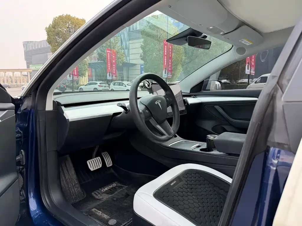 Tesla Model 3 2021 из CN, фото 3