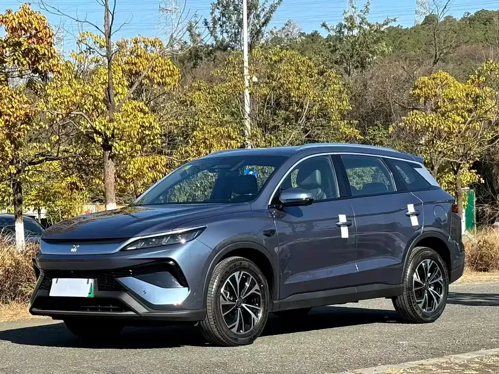 BYD Pro New Energy 2025 из CN, фото 1