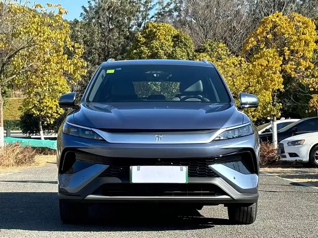 BYD Pro New Energy 2025 из CN, фото 8
