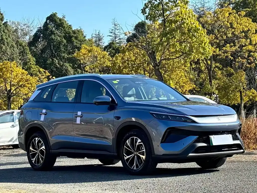 BYD Pro New Energy 2025 из CN, фото 7