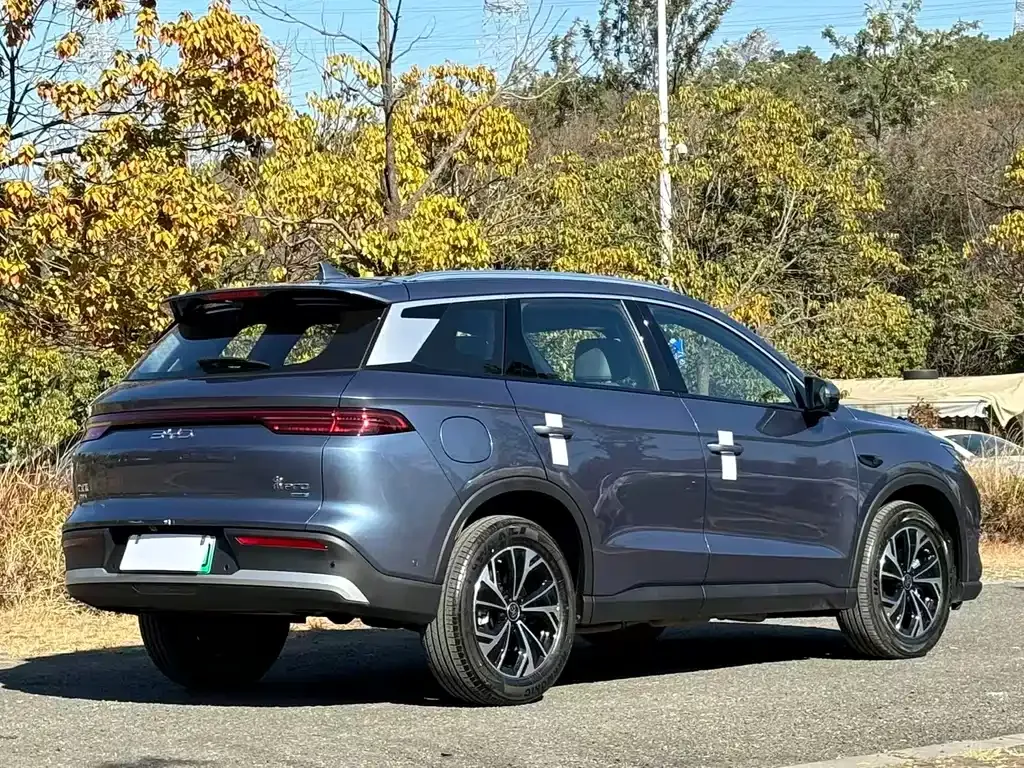 BYD Pro New Energy 2025 из CN, фото 6