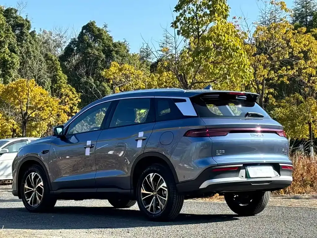 BYD Pro New Energy 2025 из CN, фото 9