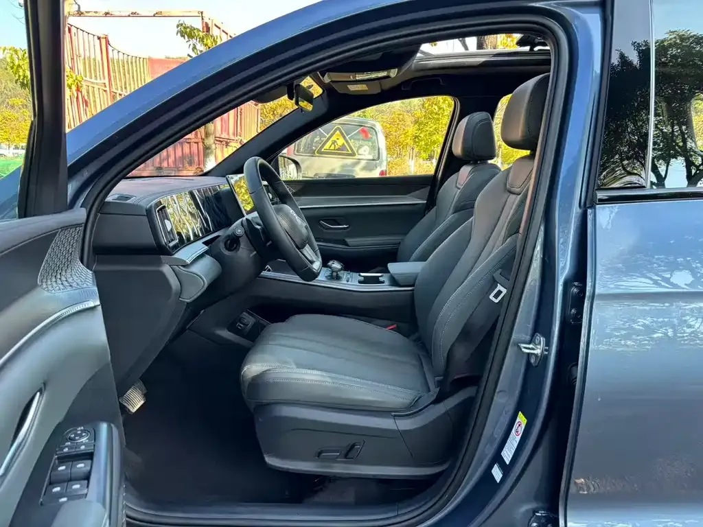 BYD Pro New Energy 2025 из CN, фото 10