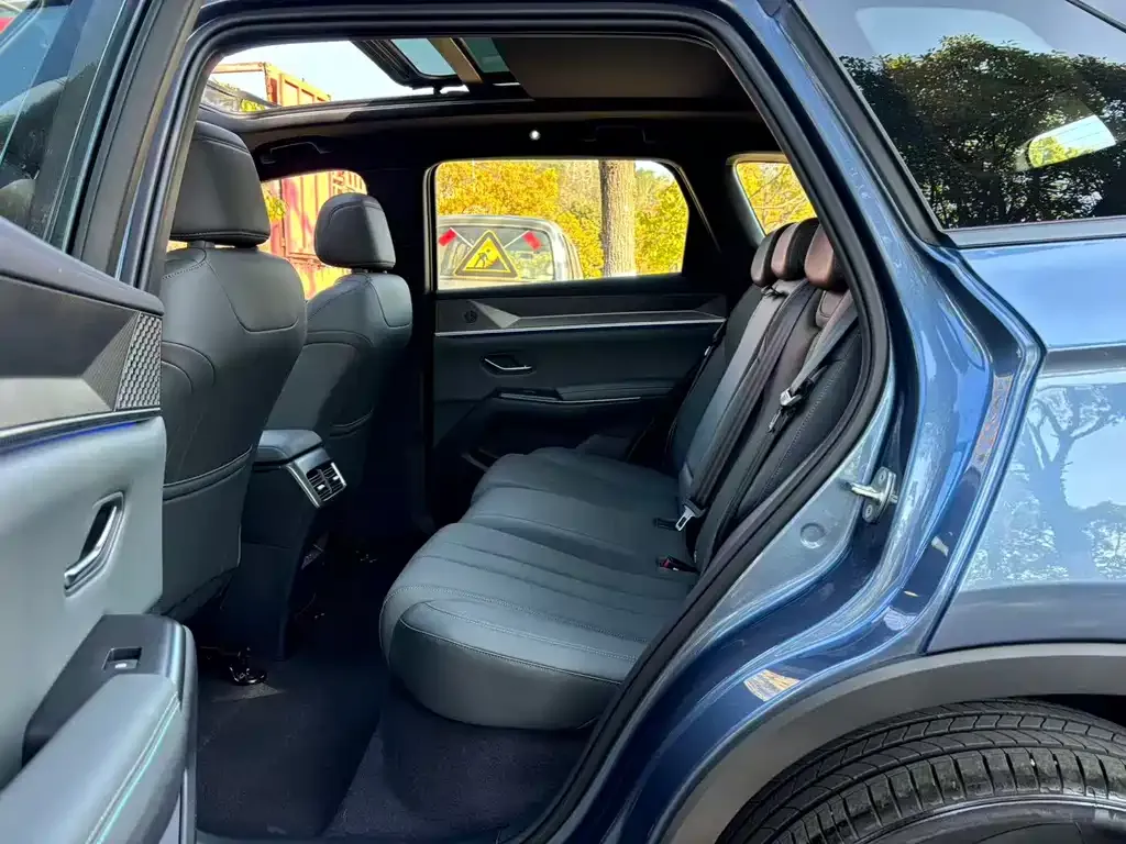 BYD Pro New Energy 2025 из CN, фото 3