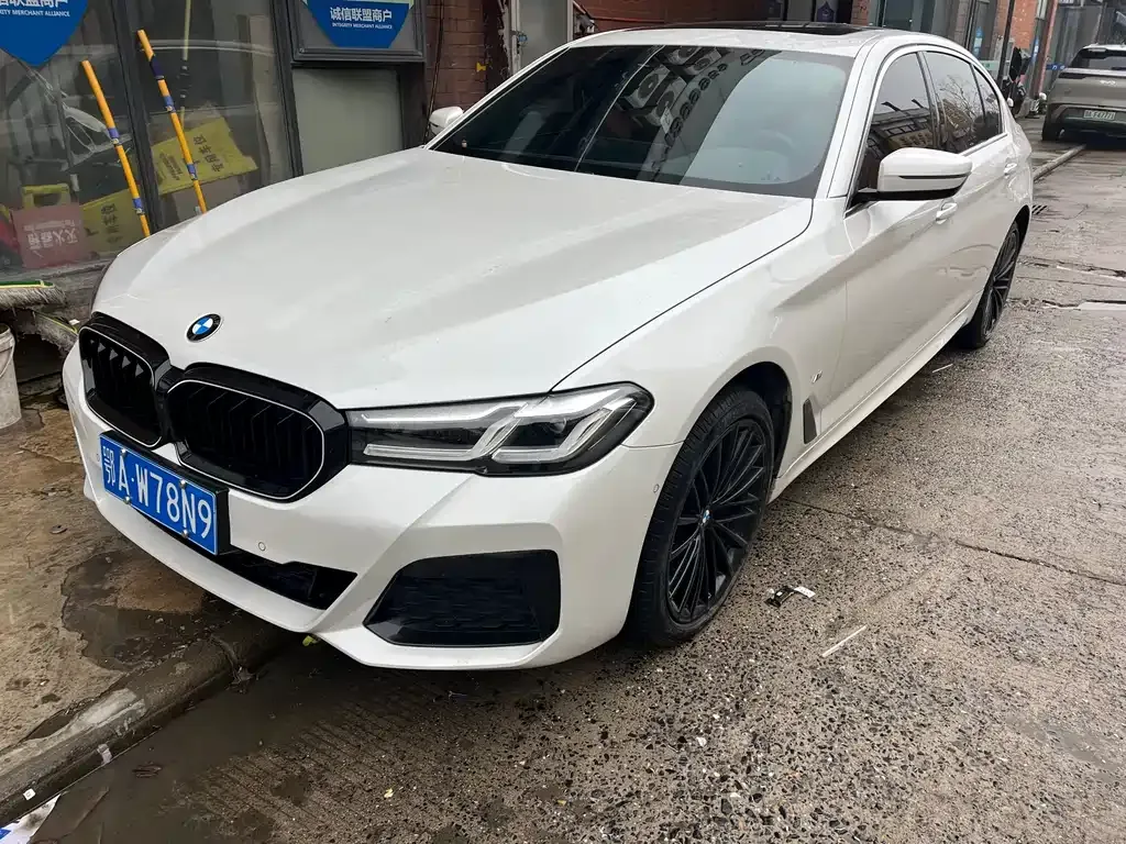 BMW 5 Series 2022 из CN, фото 1