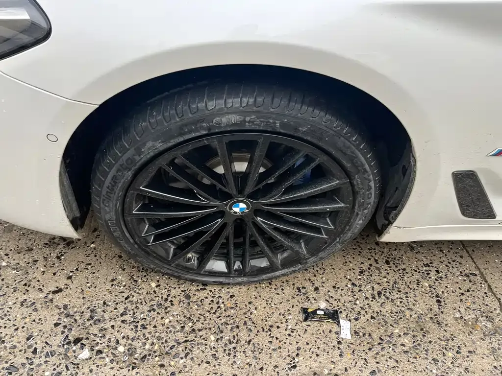BMW 5 Series 2022 из CN, фото 8