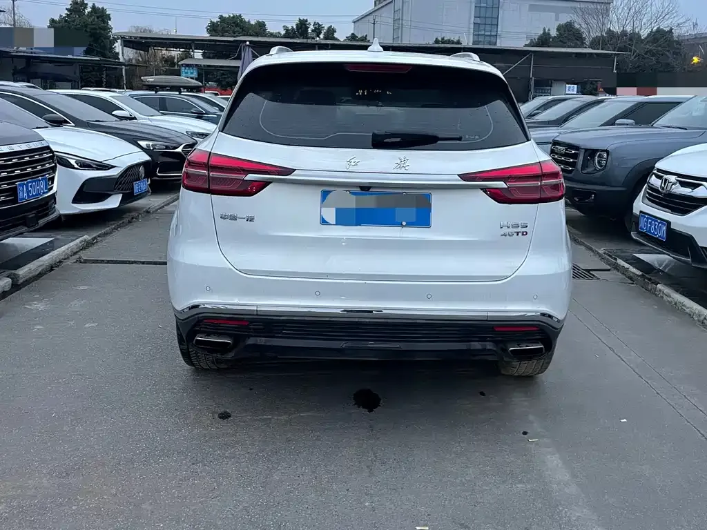 Hongqi HS5 2021 из CN, фото 10