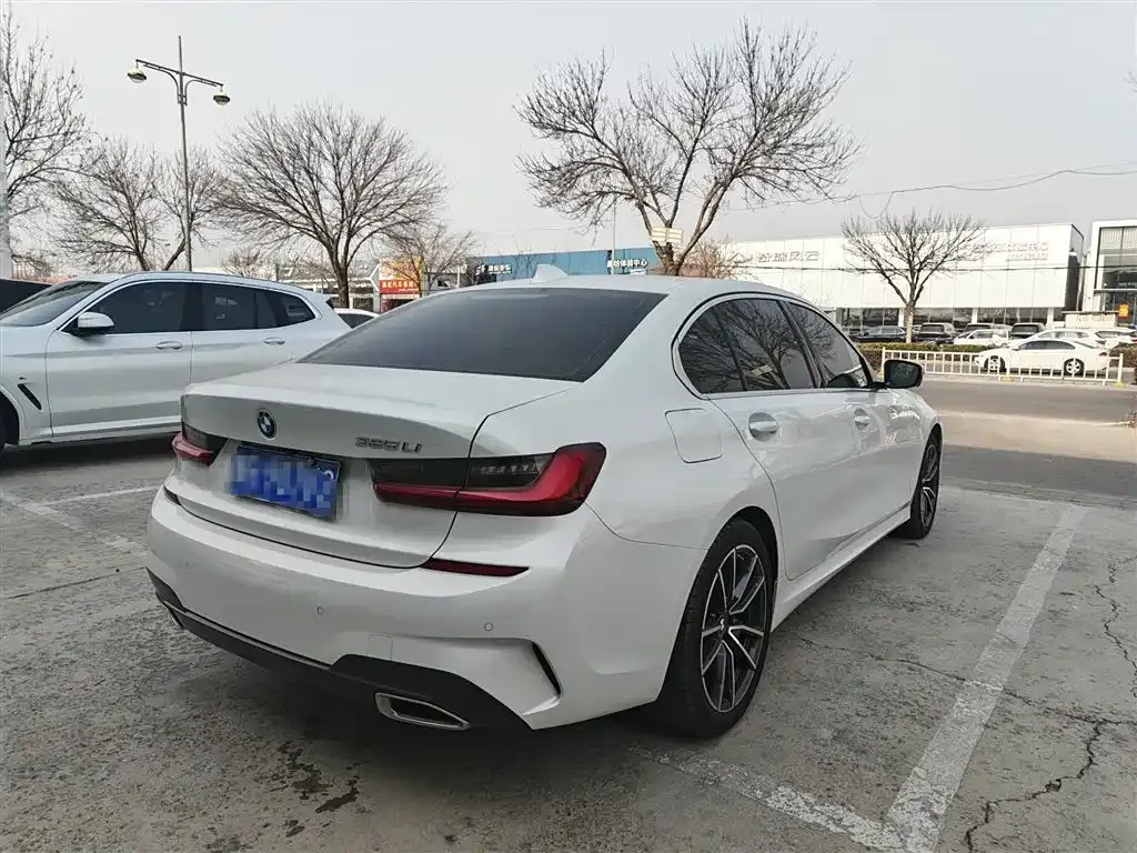 BMW 3 Series 2022 из CN, фото 10