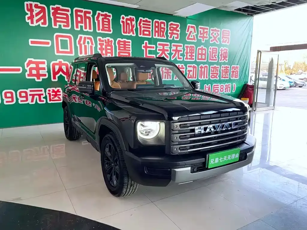 Haval Menglong New Energy — фото 8