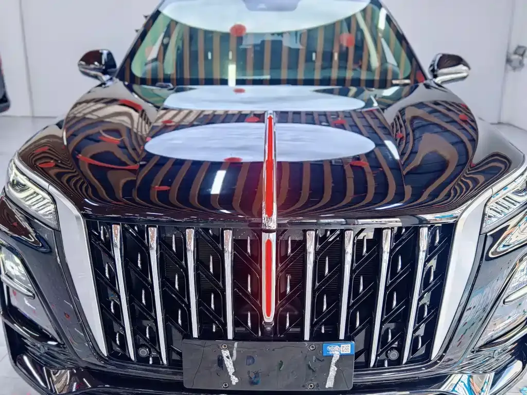 Hongqi HS5 2024 из CN, фото 10