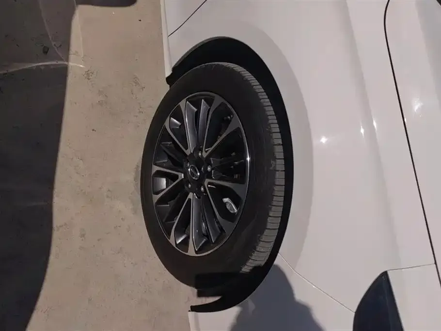 GAC Motor Shadow Leopard — фото 6
