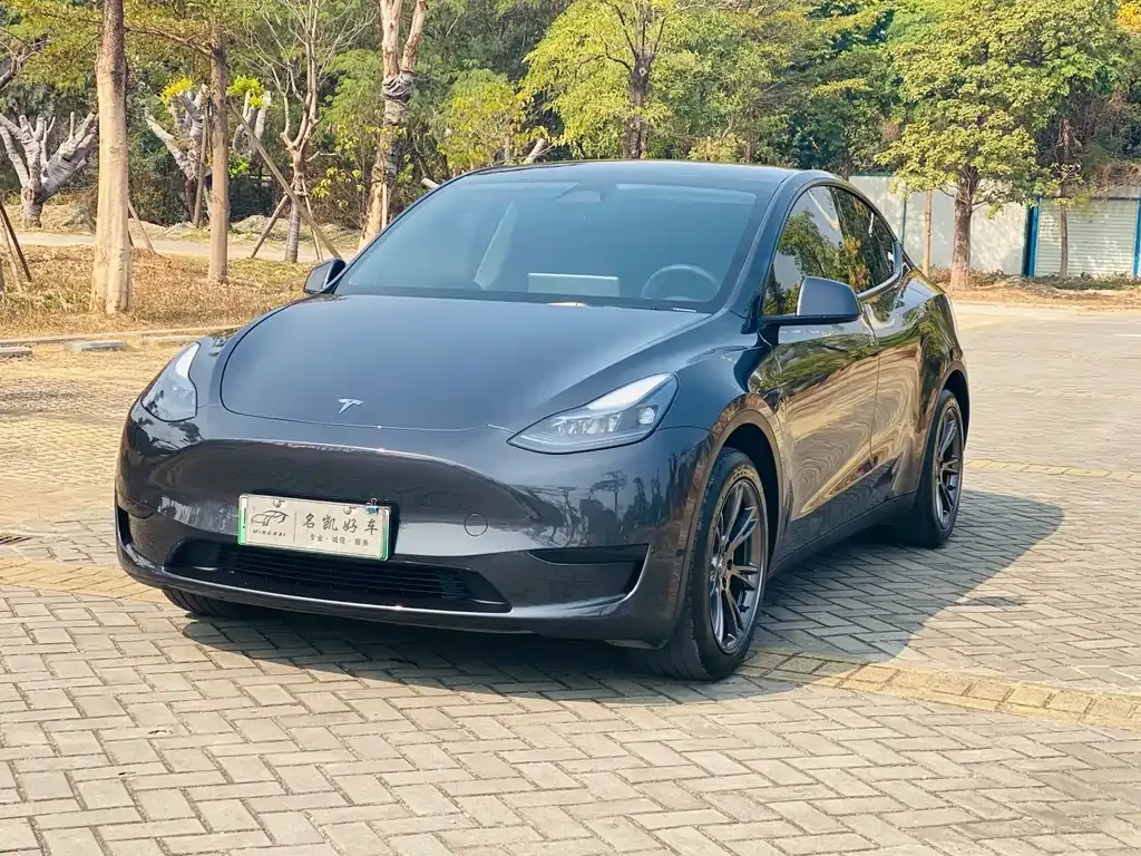 Tesla Model Y 2024 из CN, фото 1