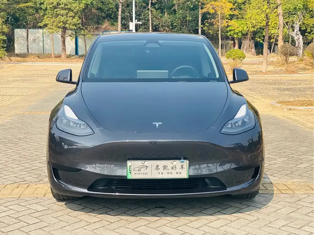 Tesla Model Y 2024 из CN, фото 4