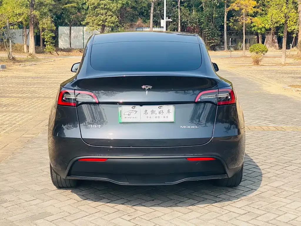 Tesla Model Y 2024 из CN, фото 7
