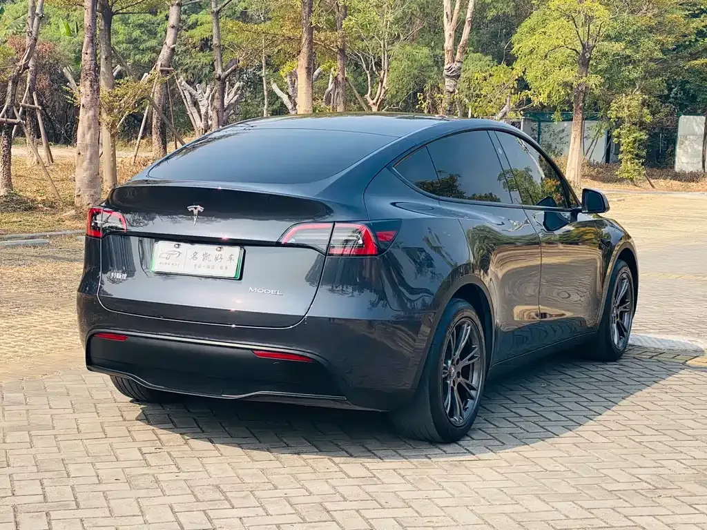 Tesla Model Y 2024 из CN, фото 9