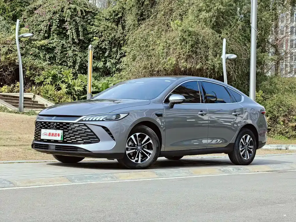 BYD Qin PLUS 2025 из CN, фото 1