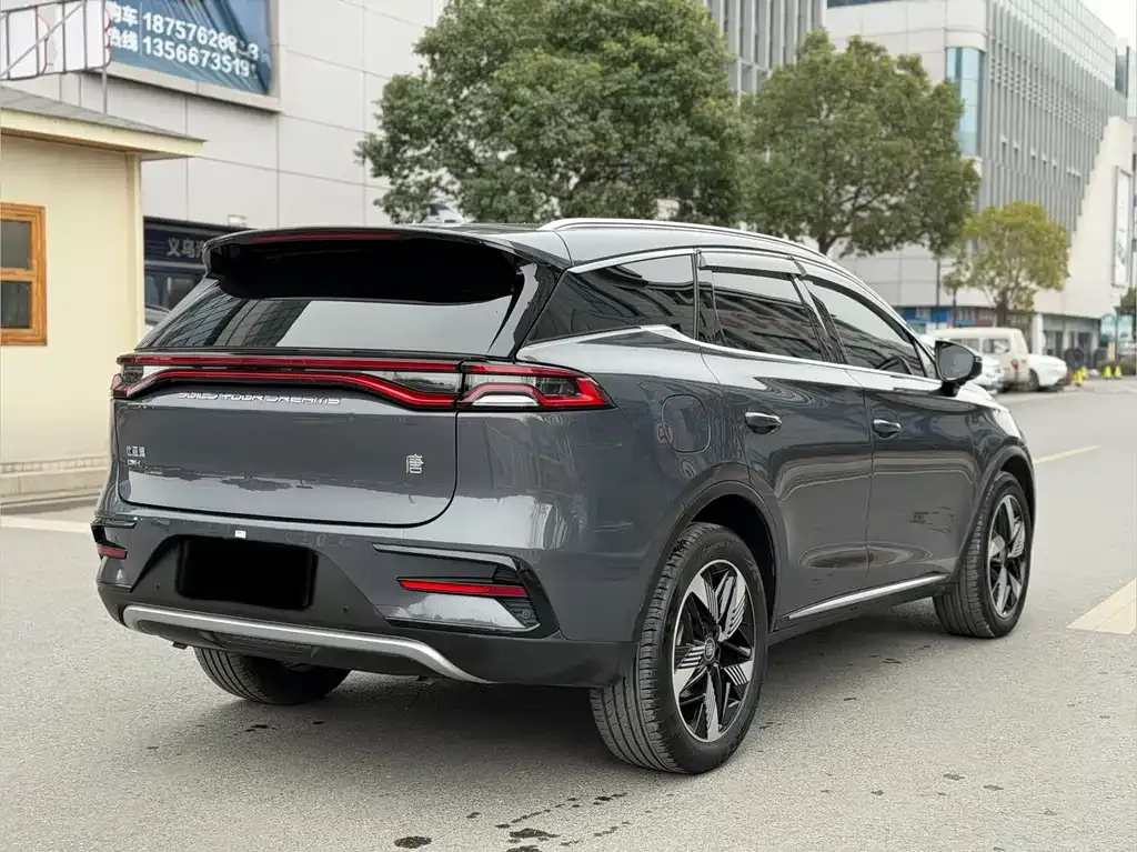 BYD Tang New Energy — фото 5