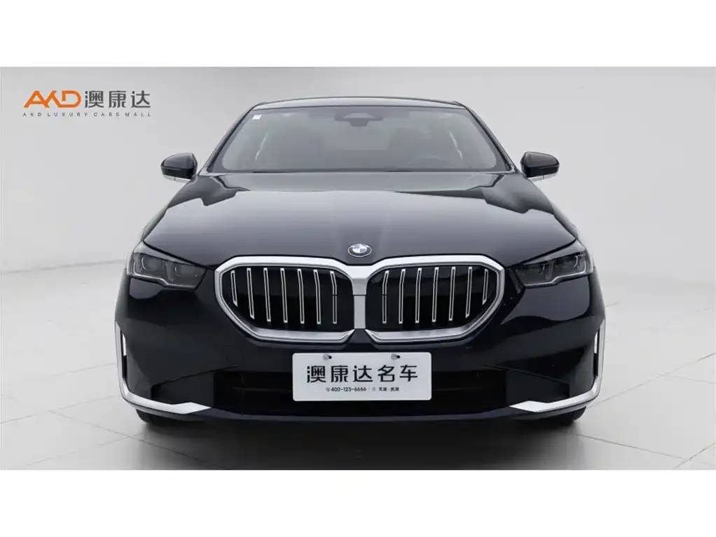 BMW 5 Series 2024 из CN, фото 9