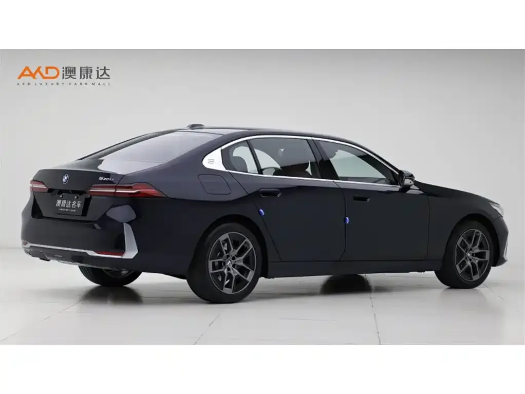 BMW 5 Series 2024 из CN, фото 2