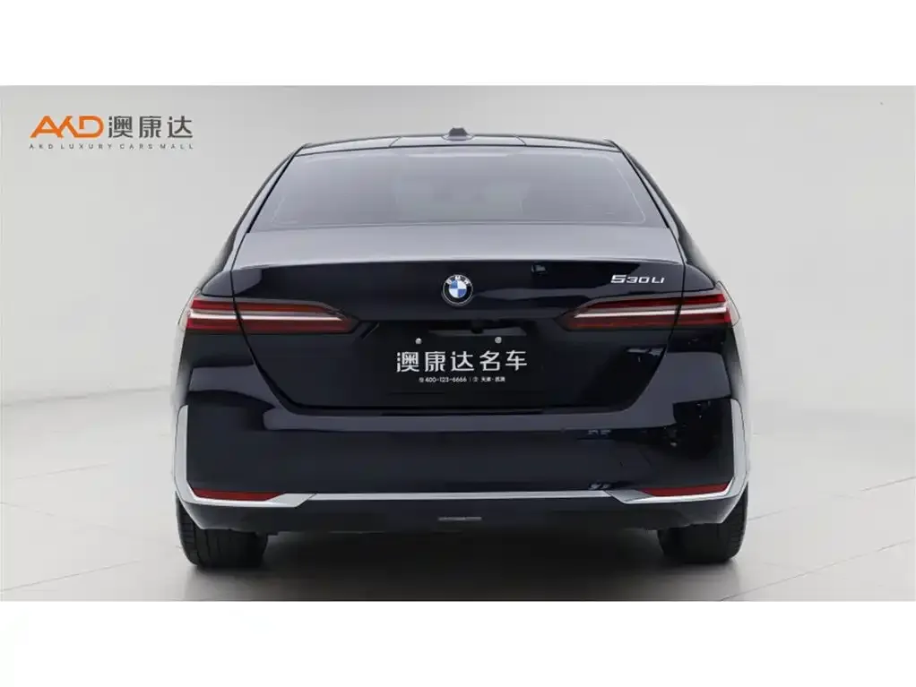 BMW 5 Series 2024 из CN, фото 7