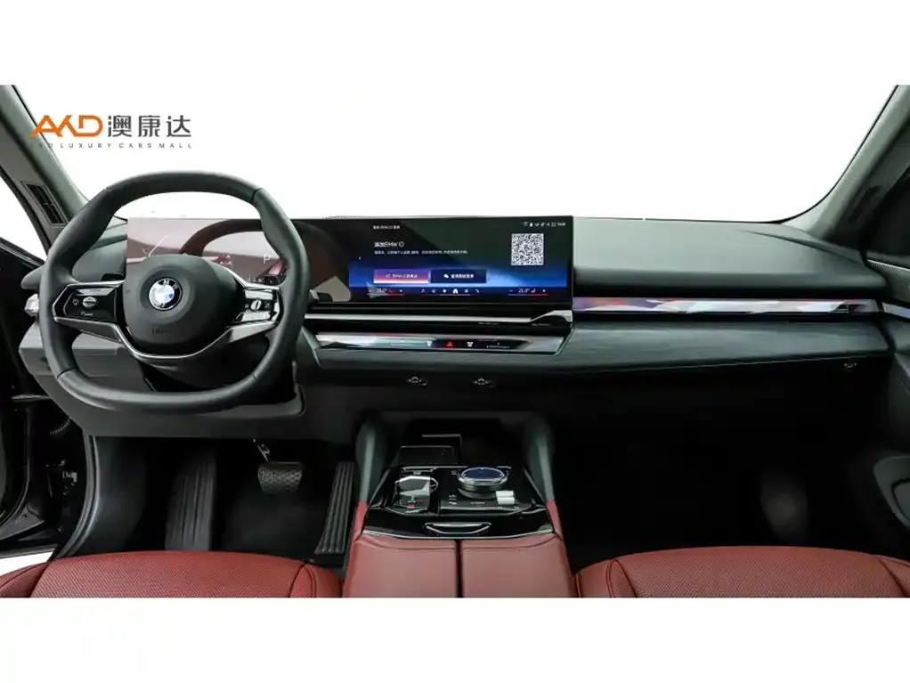 BMW 5 Series 2024 из CN, фото 8
