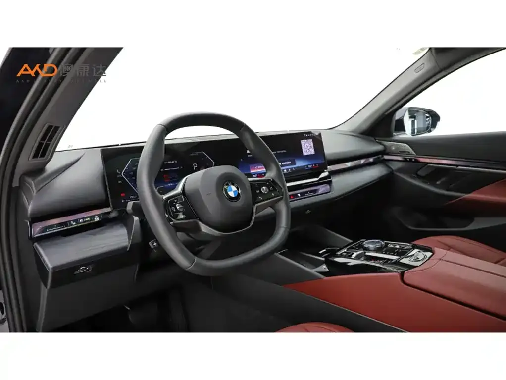 BMW 5 Series 2024 из CN, фото 10
