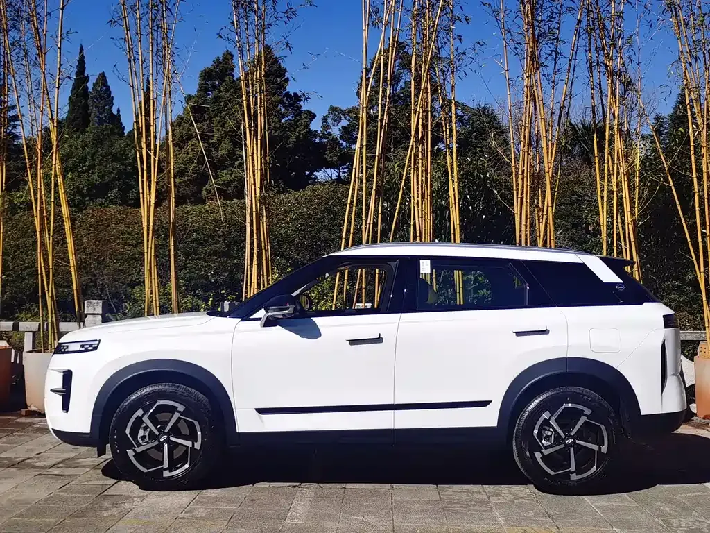 Chery Tiggo 7 2025 из CN, фото 10