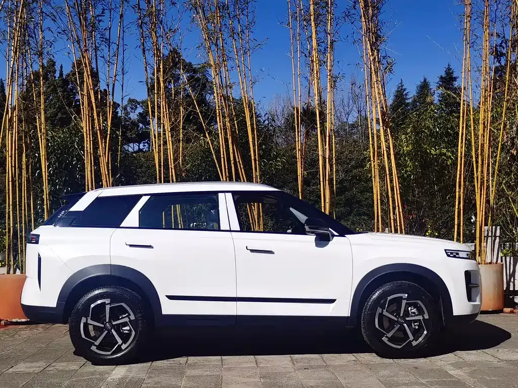 Chery Tiggo 7 2025 из CN, фото 9