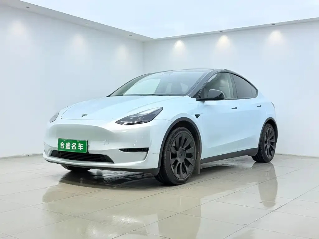 Tesla Model Y — фото 1