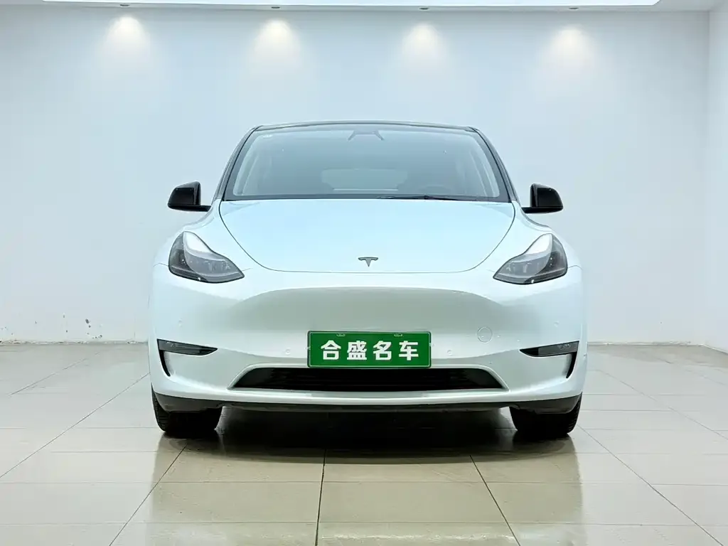 Tesla Model Y — фото 2