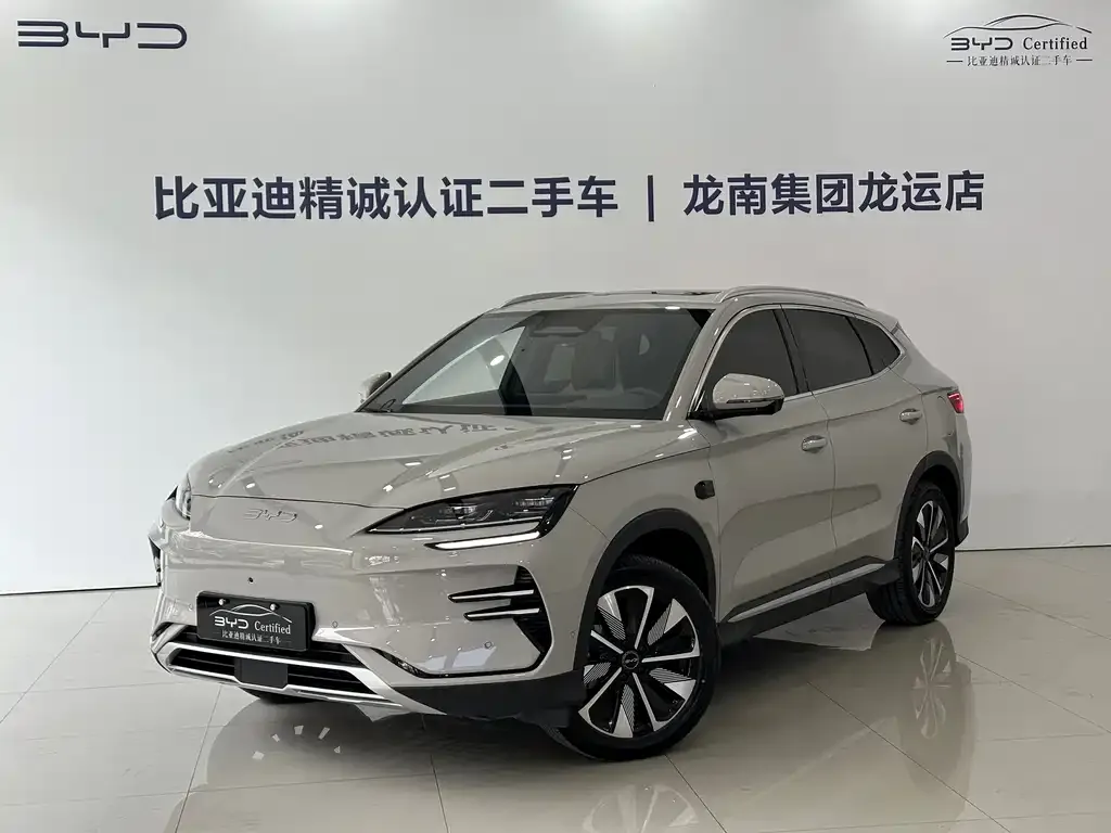 BYD PLUS New Energy 2025 из CN, фото 1