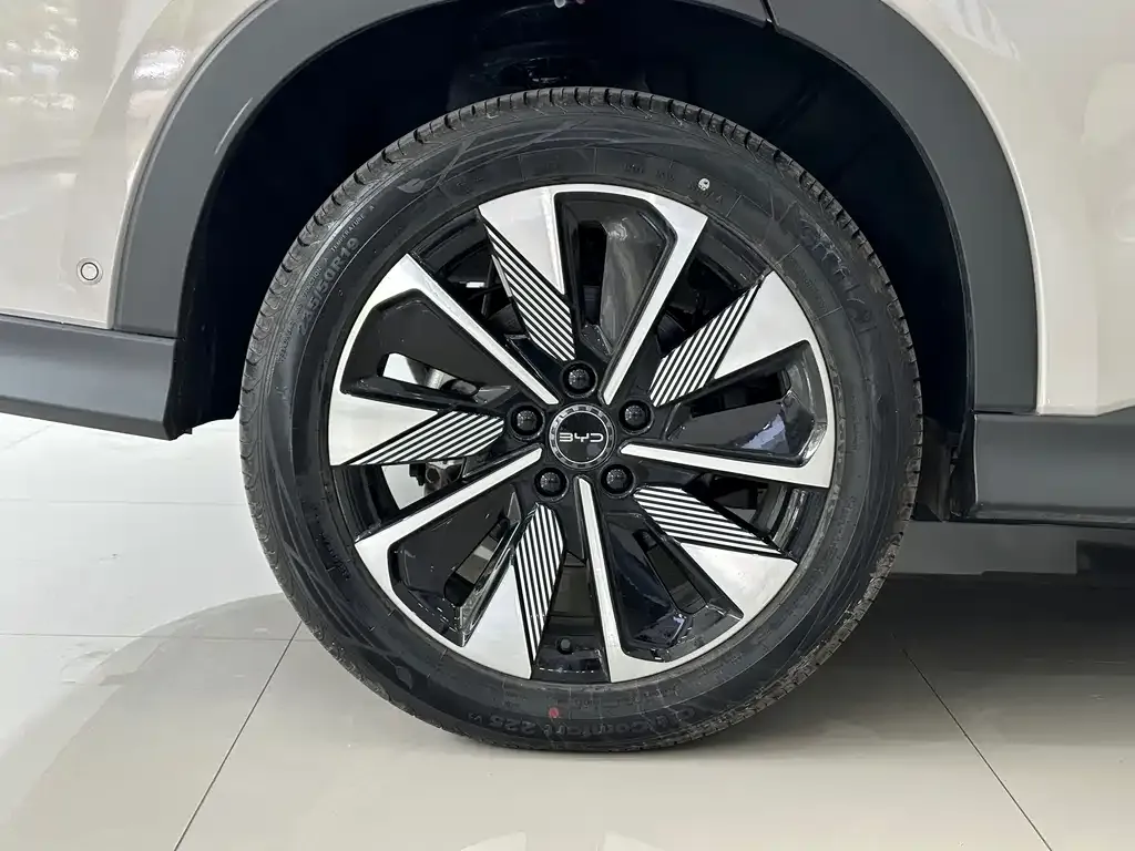 BYD PLUS New Energy 2025 из CN, фото 10