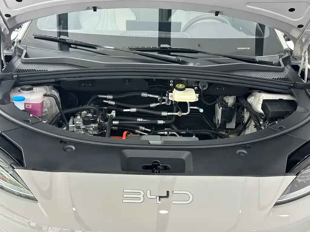 BYD PLUS New Energy 2025 из CN, фото 5